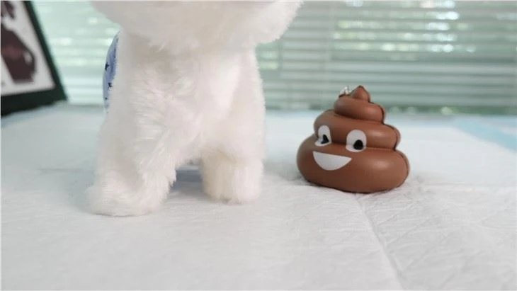 Cuscinetti per addestramento pipì per cani in vendita calda