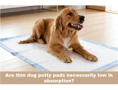 I vasini sottili per cani sono necessariamente a basso assorbimento?