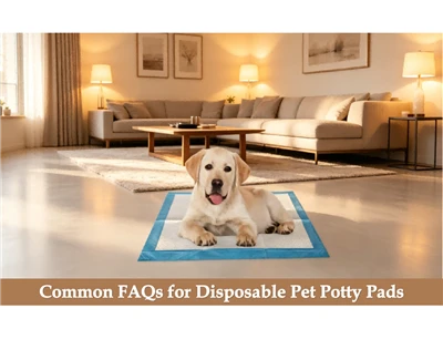 Domande frequenti comuni sui vasini usa e getta per animali domestici