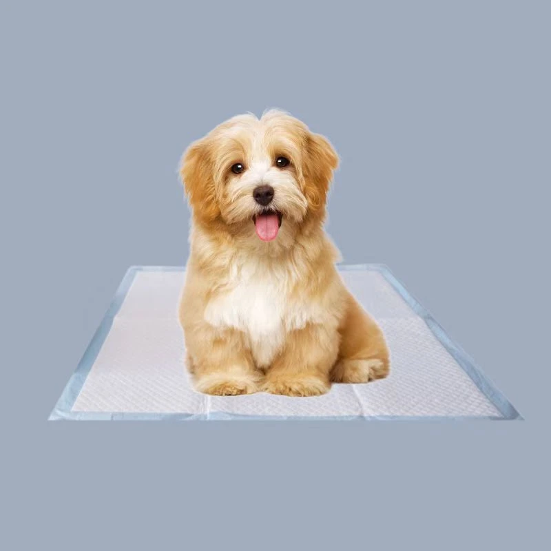 Pad per animali domestici