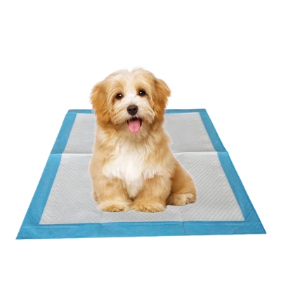 Assorbenti monouso per addestramento vasino con deodorante antibatterico per cani