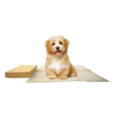 Assorbenti monouso per pipì in tessuto di bambù per cani