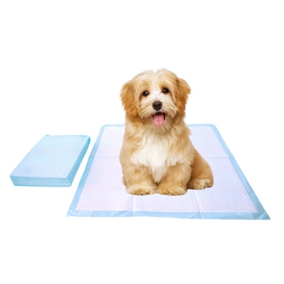 Tappetini usa e getta anti-masticabili per animali domestici