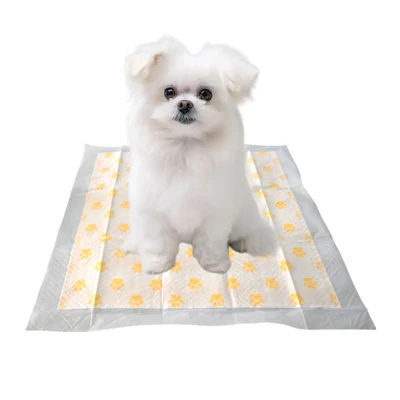 Tamponi di addestramento per animali domestici usa e getta per test PH per cani
